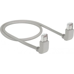 DeLock S/FTP Cat.6a Καλώδιο Δικτύου Ethernet 0.5m Γκρι