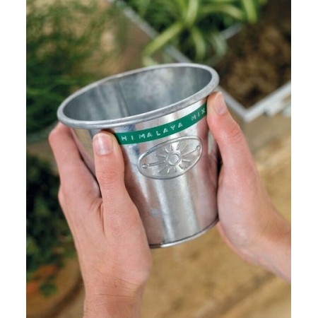 Dymo Ταινία Ετικετογράφου 3m x 9mm Πολύχρωμη 3τμχ