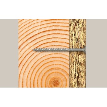 fischer Βίδα με Διάμετρο M6 και Μήκος 12mm