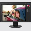 Eizo CS2400R IPS Monitor 24.1
