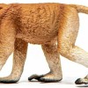 Schleich-S Παιχνίδι Μινιατούρα Proboscis Monkey 4.7εκ.