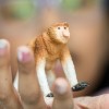 Schleich-S Παιχνίδι Μινιατούρα Proboscis Monkey 4.7εκ.