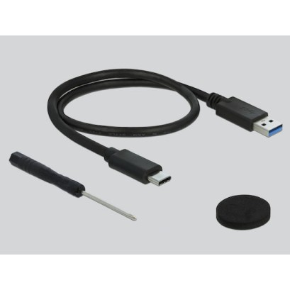 DeLock External Enclosure for HDD/SSD 2.5″ Μαύρο