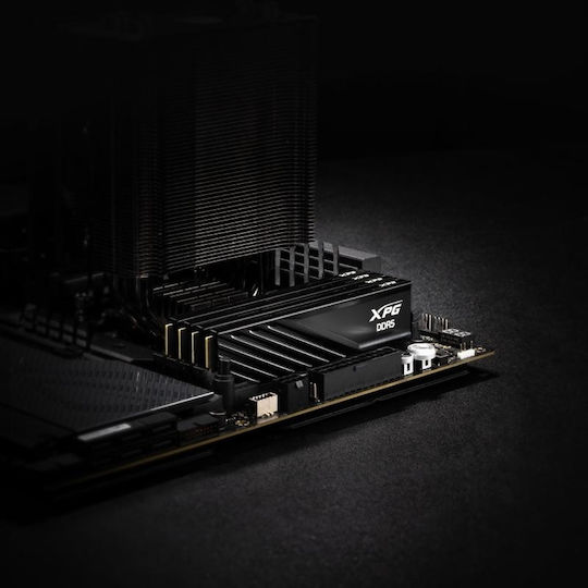 Adata Lancer DDR5 με Module 1x16GB και Ταχύτητα 5600 για Desktop