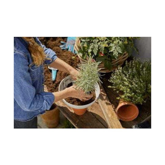 Gardena Clickup! Γλάστρα Πλαστική Λευκή 25εκ.