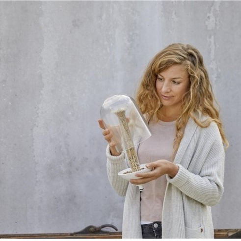 Gardena ClickUp! Ταΐστρα Πουλιών