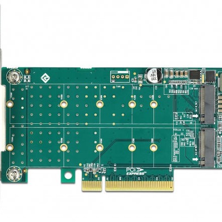 DeLock Κάρτα PCI σε θύρες M.2 PCI Express x8 Card to 2 x internal NVMe M.2 Key M - Bifurcation