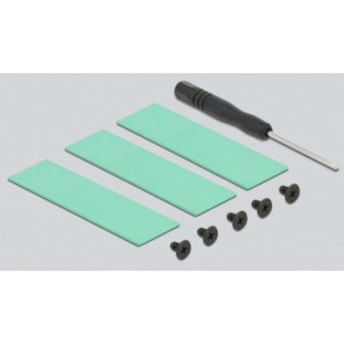 DeLock Heat Sink for M.2 SSD 2280 Μαύρο