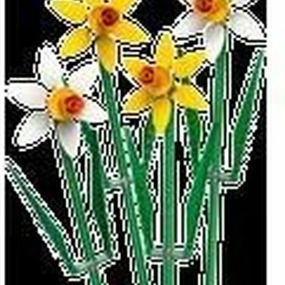 Lego Botanical Collection Daffodils για 8+ Ετών 216τμχ