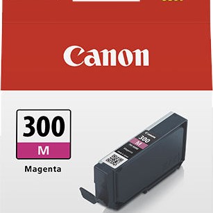 Canon PFI-300 Γνήσιο Μελάνι Εκτυπωτή InkJet Ματζέντα (4195C001)