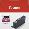 Canon PFI-300 Γνήσιο Μελάνι Εκτυπωτή InkJet Ματζέντα (4195C001)