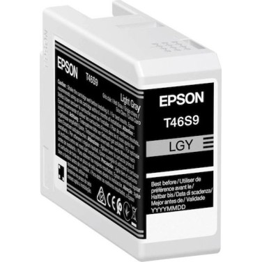 Epson T46S9 UltraChrome Pro 10 Γνήσιο Μελάνι Εκτυπωτή InkJet Ανοιχτό Γκρι (C13T46S900)