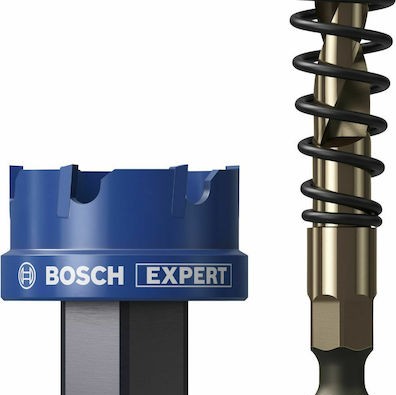 Bosch Ποτηροπρίονο Expert Sheetmetal με Διάμετρο 30mm για Ξύλο και Μέταλλο