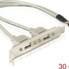 DeLock 10pin USB - 2x USB 2.0 female