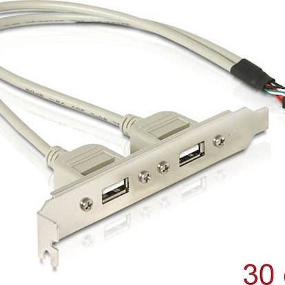 DeLock 10pin USB - 2x USB 2.0 female