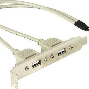 DeLock 10pin USB - 2x USB 2.0 female