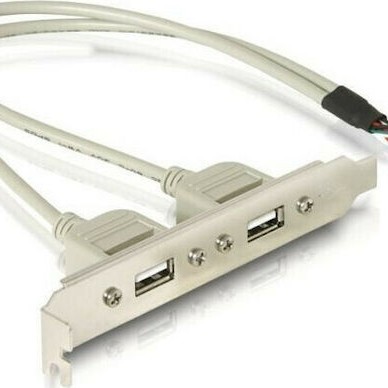 DeLock 10pin USB - 2x USB 2.0 female