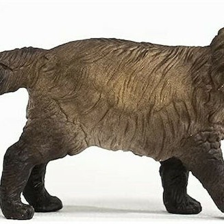 Schleich-S Παιχνίδι Μινιατούρα Ράγκντολ