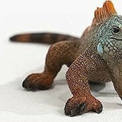 Schleich-S Παιχνίδι Μινιατούρα Ιγκουάνα