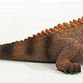 Schleich-S Παιχνίδι Μινιατούρα Ιγκουάνα