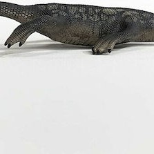 Schleich-S Παιχνίδι Μινιατούρα Nothosaurus