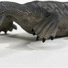 Schleich-S Παιχνίδι Μινιατούρα Nothosaurus
