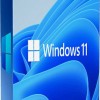 Microsoft Windows 11 Pro DSP Αγγλικά
