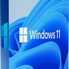 Microsoft Windows 11 Home DSP Αγγλικά