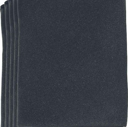 Einhell Φίλτρα Σκούπας Υγρών/Στερεών Συμβατά με Einhell 5τμχ