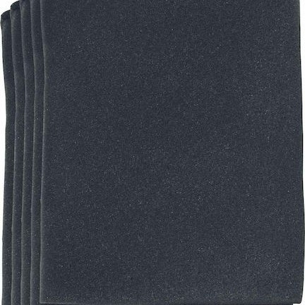 Einhell Φίλτρα Σκούπας Υγρών/Στερεών Συμβατά με Einhell 5τμχ