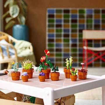 Lego Botanical Collection Tiny Plants για 18+ Ετών 758τμχ