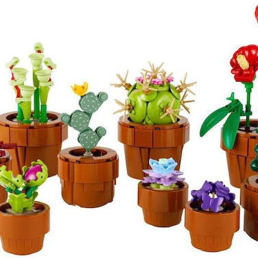 Lego Botanical Collection Tiny Plants για 18+ Ετών 758τμχ