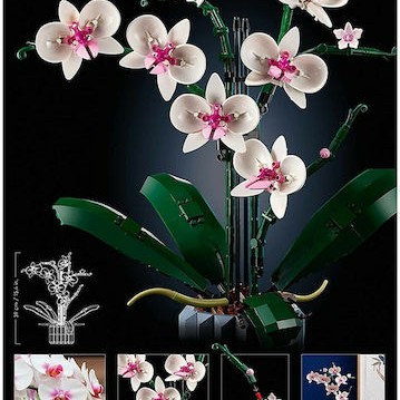 Lego Botanical Collection Orchid για 18+ Ετών 608τμχ