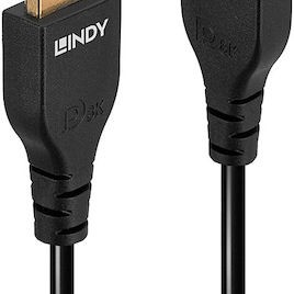 Lindy Cable DisplayPort male - DisplayPort male 1m Μαύρο (36461)
