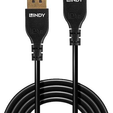 Lindy Cable DisplayPort male - DisplayPort male 2m Μαύρο (36462)