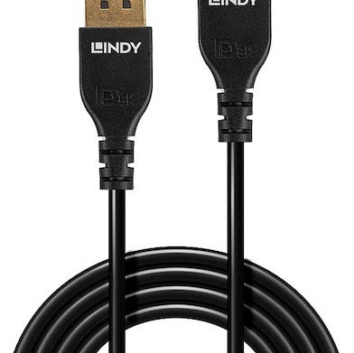 Lindy Cable DisplayPort male - DisplayPort male 3m Μαύρο (36463)