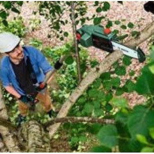 Bosch UniversalChainPole 18 Τηλεσκοπικό Κονταροπρίονο Μπαταρίας Solo με Λάμα 20cm Συνολικού Μήκους 260cm και Βάρους 3.45kg