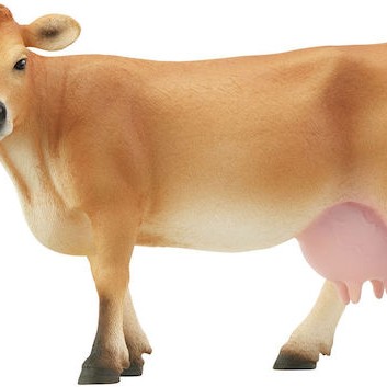 Schleich-S Παιχνίδι Μινιατούρα Καφέ