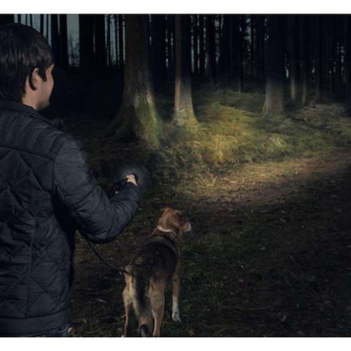 Varta Pro Επαναφορτιζόμενος Φακός LED IP67 με Μέγιστη Φωτεινότητα 650lm