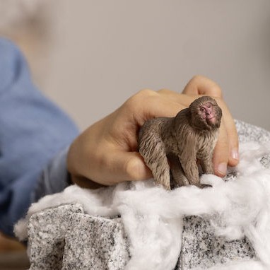 Schleich-S Χιμπατζής για 3-8 Ετών