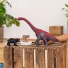 Schleich-S Χιμπατζής για 3-8 Ετών