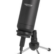 DeLock Shotgun Μικρόφωνο 66832 Επιτραπέζιο για Κάμερα