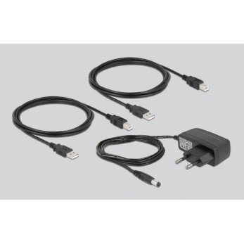 DeLock USB 2.0 Διακόπτης 2 PC προς 2 συσκευές