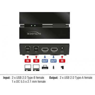 DeLock USB 2.0 Διακόπτης 2 PC προς 2 συσκευές