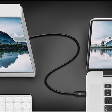 Goobay USB 2.0 Cable USB-C male - DisplayPort male Μαύρο 1.2m (79295)