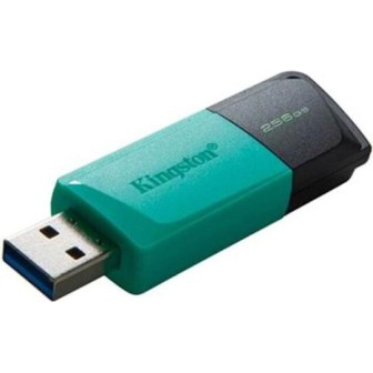 Kingston DataTraveler Exodia M 256GB USB 3.2 Stick Πράσινο
