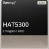 Synology HAT5300 4TB HDD Σκληρός Δίσκος 3.5