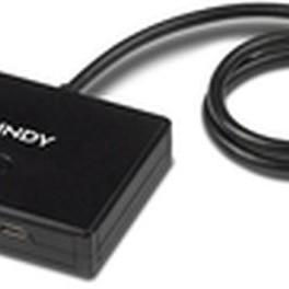 Lindy USB 3.2 Hub 2 Θυρών με σύνδεση USB-C
