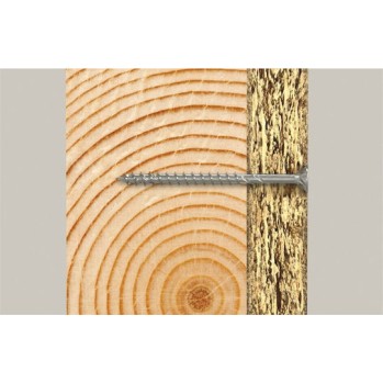 fischer Βίδα Torx με Διάμετρο M5 και Μήκος 120mm