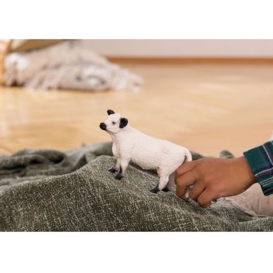 Schleich-S Παιχνίδι Μινιατούρα Galloway Cow για 3-8 Ετών 14εκ.